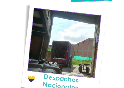 Despachos Nacionales - Distribuidor 03 - Arena Felino