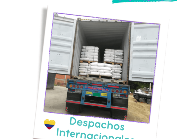 Despachos Internacionales - Distribuidor 04 - Arena Felino